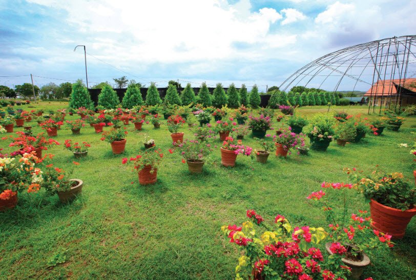 Mirijjawila Botanical Gardens - South Gate, Sri Lanka
